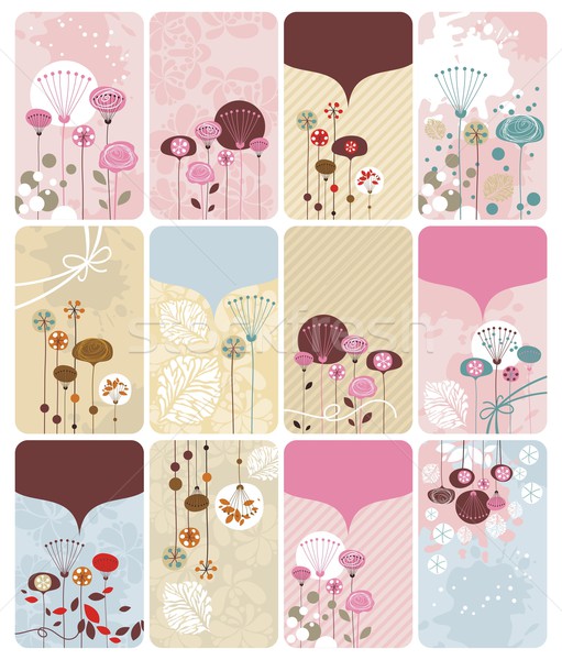 Sazonal floral dom cartões fundos conjunto Foto stock © yurumi