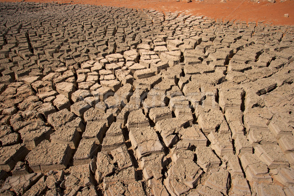 Cracked Mud Abstract Stock photo © zambezi