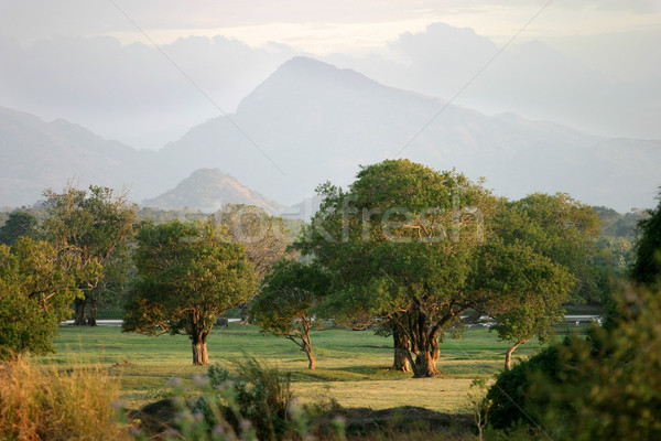 Kandalama Hills Stock photo © zambezi