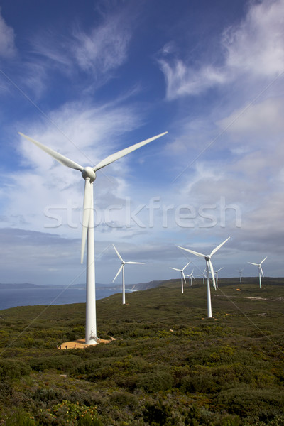 Windpark Stadt Name westlichen Australien Stock foto © zambezi