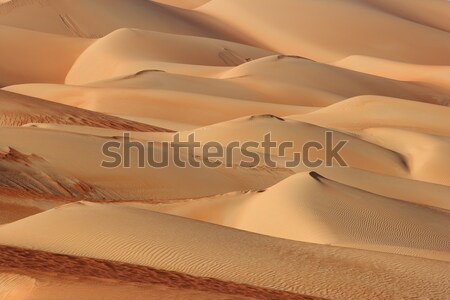 空っぽ 四半期 抽象的な パターン オマーン サウジアラビア ストックフォト © zambezi