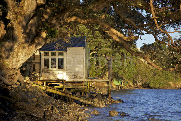 Alten nördlich Insel New Zealand Stock foto © zambezi