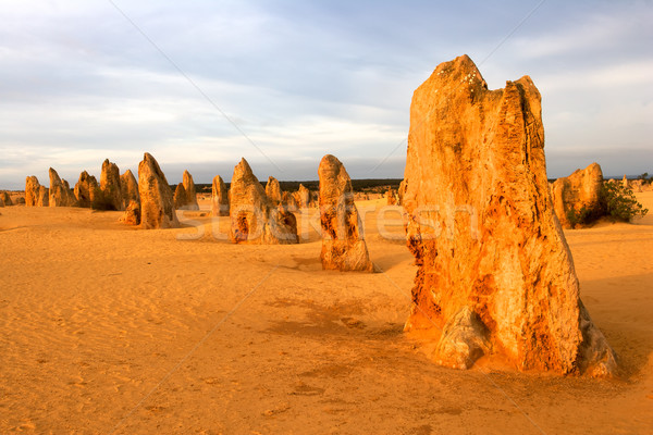 Stock photo: The Pinnacles