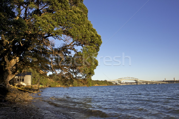 Brug oude haven New Zealand Stockfoto © zambezi