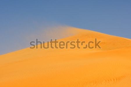 Wind on Dune Stock photo © zambezi