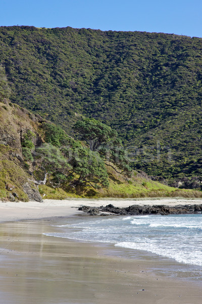 Szene Strand nördlich Insel New Zealand Stock foto © zambezi