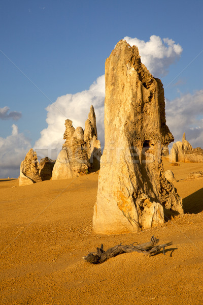 [[stock_photo]]: Désert · coeur · parc · ouest · Australie