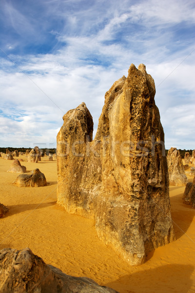 砂漠 中心 公園 西部 オーストラリア ストックフォト © zambezi
