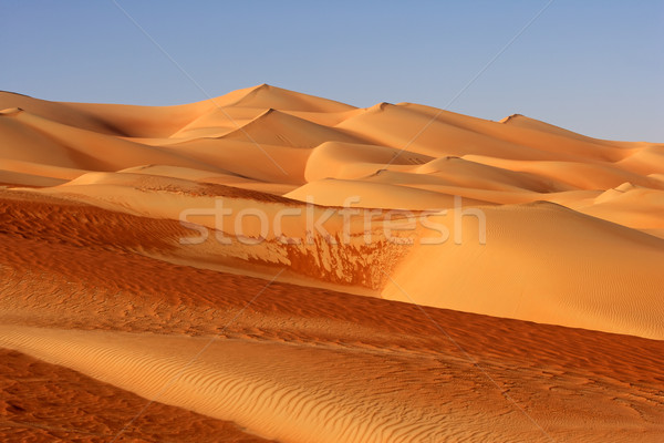 Empty Quarter Dunes Stock photo © zambezi