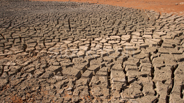 Cracked Mud Abstract Stock photo © zambezi