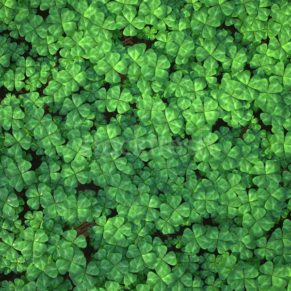 Four-leaf clover field for background. Stock photo © ZARost