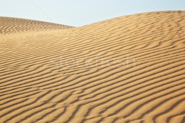 Sand dunes Stock photo © zastavkin