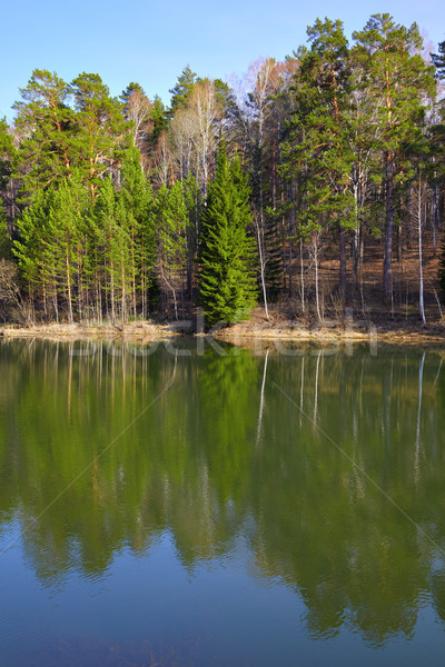 Pond Stock photo © zastavkin