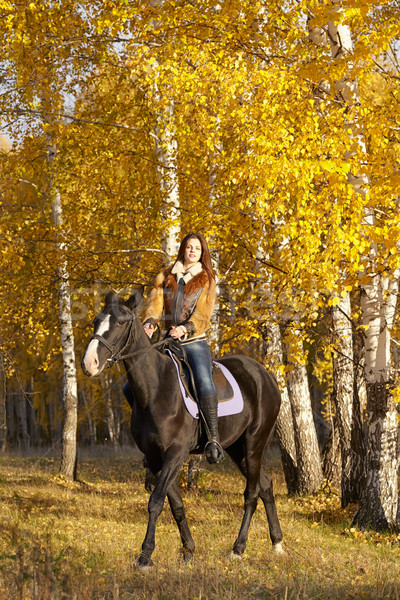 Portret dość młoda kobieta czarny jazda konna jesienią Zdjęcia stock © zastavkin