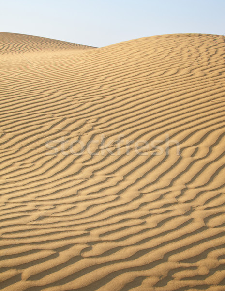 Sand dunes Stock photo © zastavkin