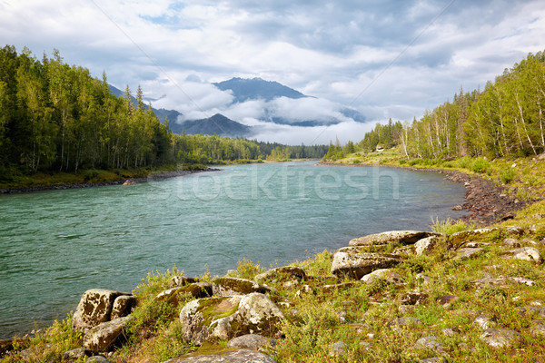 Altai river Katun Stock photo © zastavkin