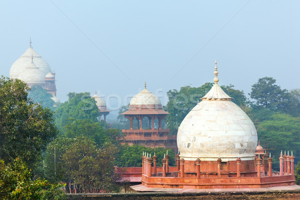Jardin Taj Mahal matin brouillard Photo stock © zastavkin