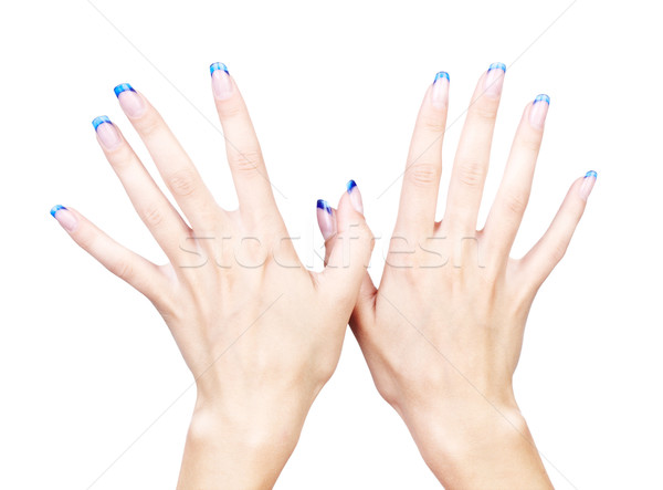 Stock fotó: Kék · francia · manikűr · kezek · profi · francia · körmök