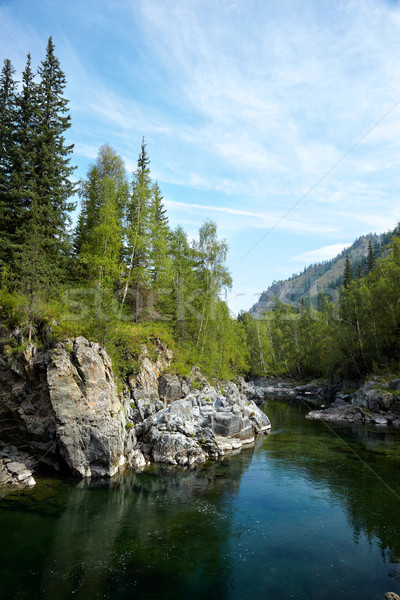 Altai river Kumir Stock photo © zastavkin