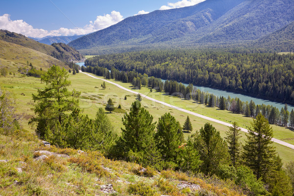 Altai river Katun Stock photo © zastavkin