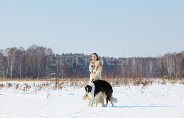 woman with borzoi outdoors Stock photo © zastavkin