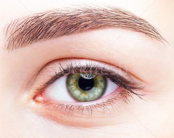 female eye zone and brows with day makeup Stock photo © zastavkin