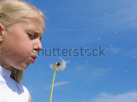 Little girl blows on dandelion Stock photo © zastavkin