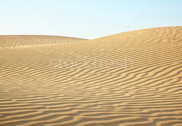 Sand dunes Stock photo © zastavkin