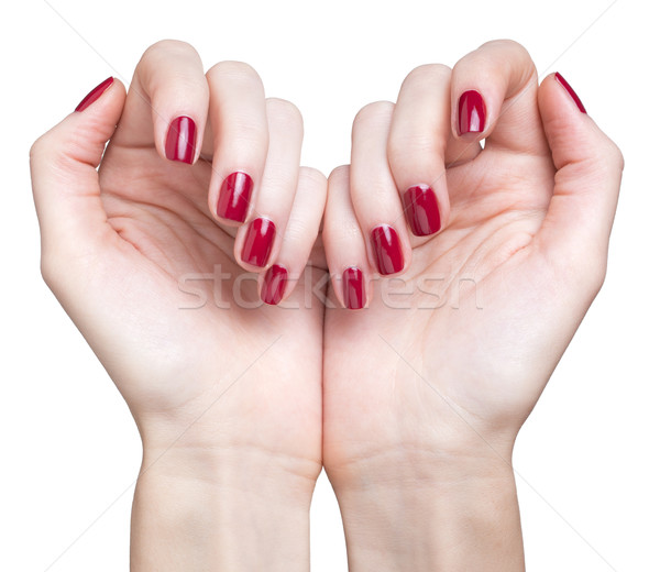 Manos rojo manicura profesional uñas de color rojo aislado Foto stock © zastavkin