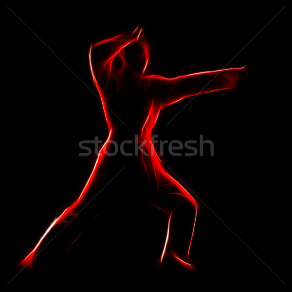 Fractal portrait of karate girl Stock photo © zastavkin