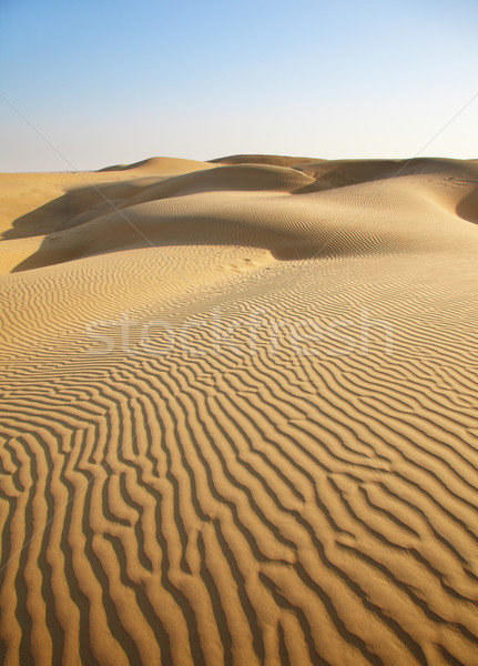 Sand Wüste Himmel Textur Natur Landschaft Stock foto © zastavkin