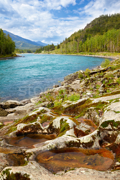 Altai river Katun Stock photo © zastavkin