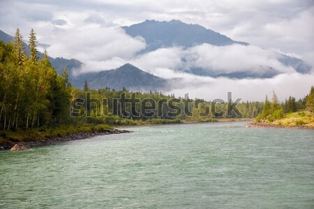 Altai river Katun Stock photo © zastavkin