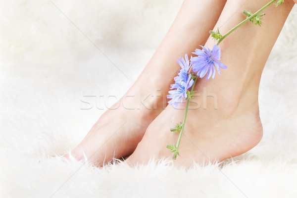 healthy legs and flower Stock photo © zastavkin