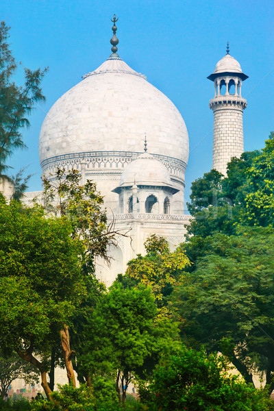 Coupole Taj Mahal caché derrière végétation luxuriante ciel [[stock_photo]] © zastavkin