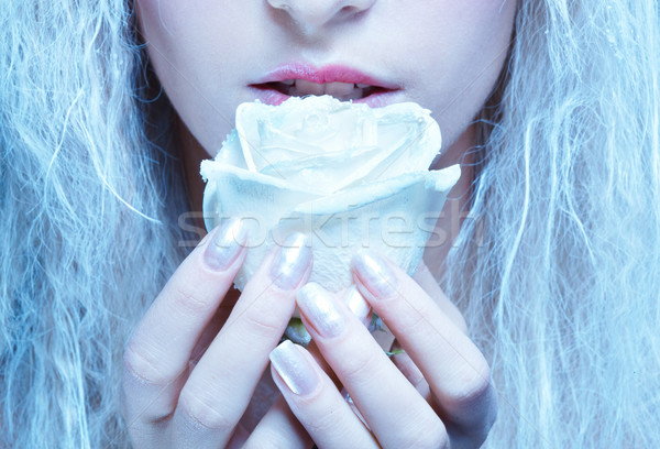 Сток-фото: заморожены · фея · роза · крупным · планом · портрет · красивой · блондинка