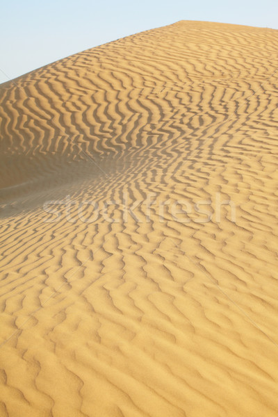 Sand dunes Stock photo © zastavkin