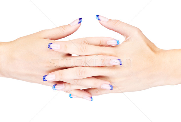 Stock foto: Blau · Französisch · Maniküre · Hände · professionelle · Französisch · Nägel