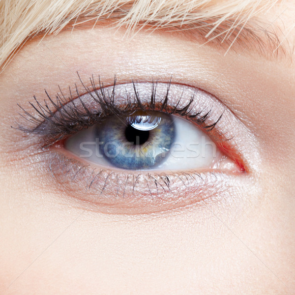 Augen Make-up Porträt schönen Stock foto © zastavkin