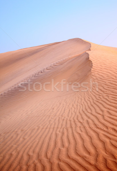 Sand dunes Stock photo © zastavkin