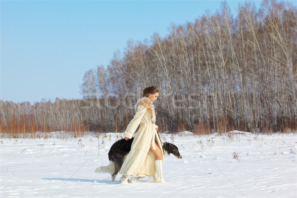 woman with borzoi outdoors Stock photo © zastavkin