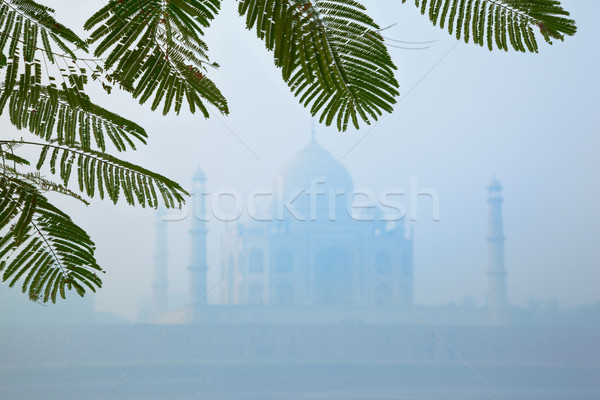 [[stock_photo]]: Taj · Mahal · matin · brouillard · caché · brouillard · ciel