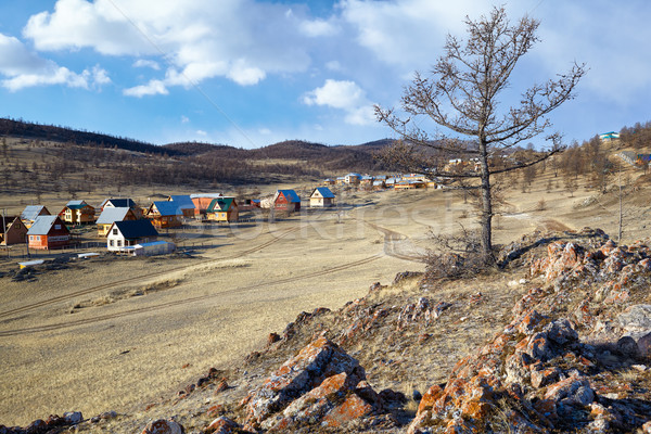 Lonely tree Stock photo © zastavkin