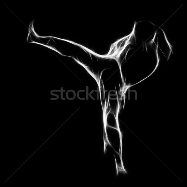 Stock foto: Porträt · Karate · Mädchen · Silhouette · schönen