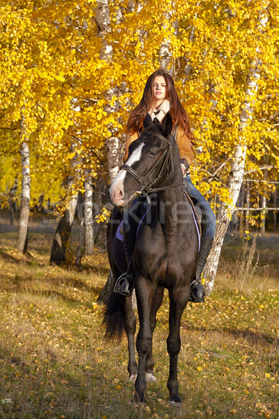 Ritratto bella nero equitazione autunno Foto d'archivio © zastavkin