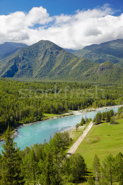 Altai river Katun Stock photo © zastavkin