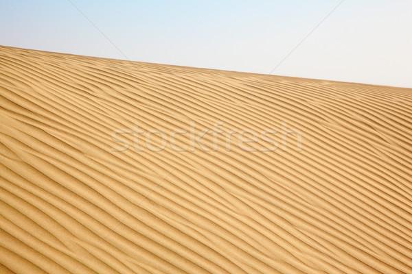 Sand dunes Stock photo © zastavkin