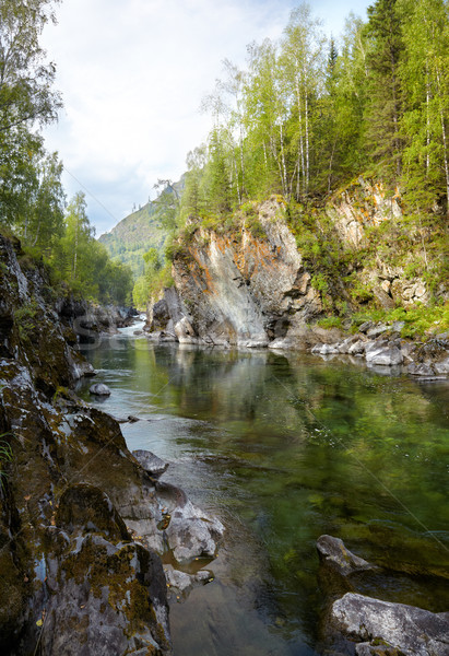 Altai river Kumir Stock photo © zastavkin