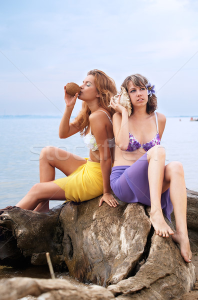 Girls on the log Stock photo © zastavkin