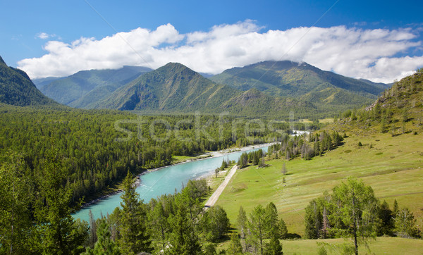 Altai river Katun Stock photo © zastavkin